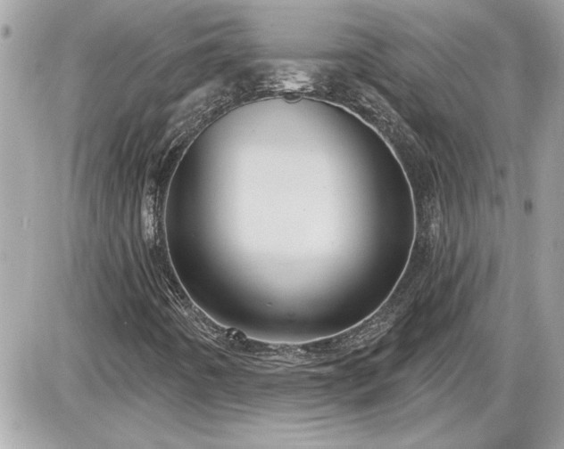 X0000087591442200705041457