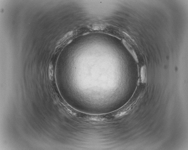 X0000087591443200705041457