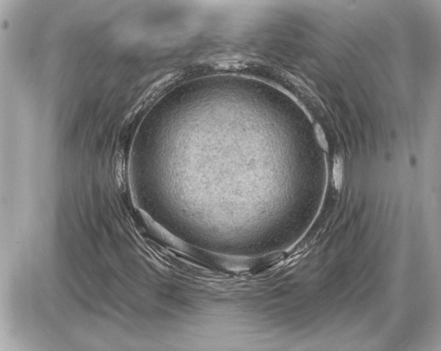 X0000087591444200705041457