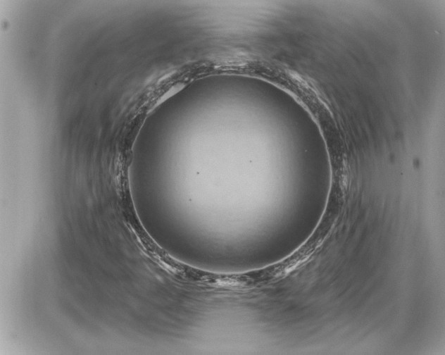 X0000087591445200705041457