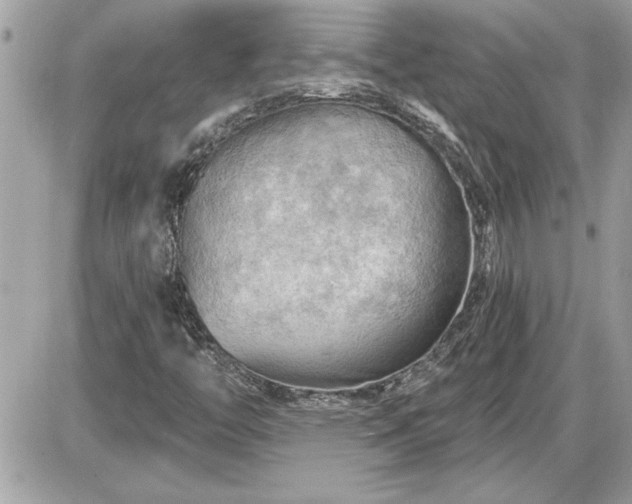 X0000087591446200705041457