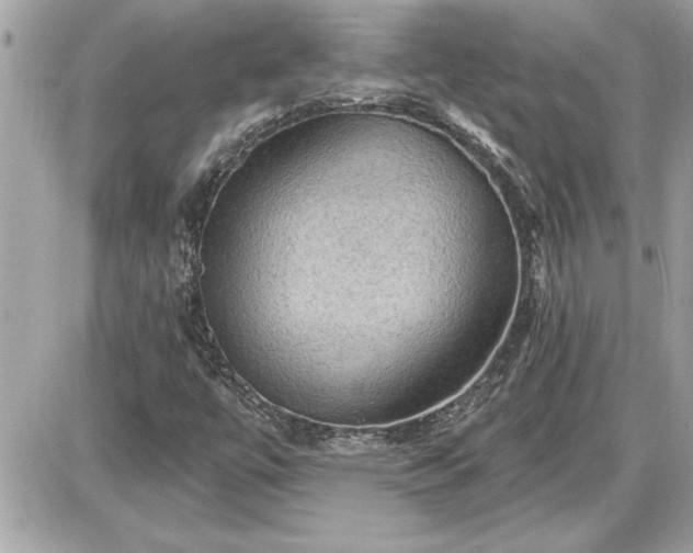 X0000087591447200705041457