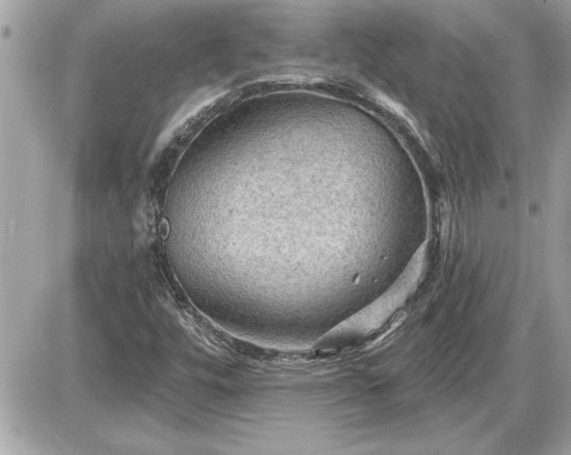 X0000087591448200705041457