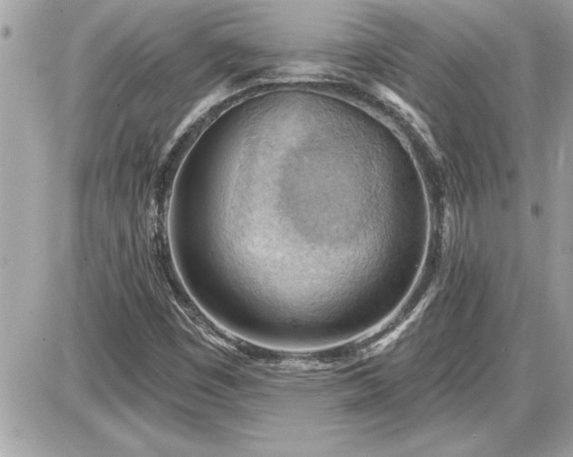 X0000087591449200705041457