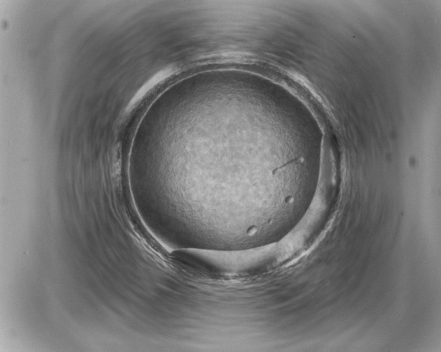 X0000087591450200705041457