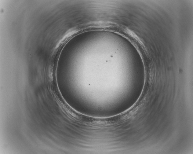 X0000087591451200705041457