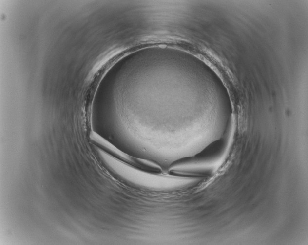 X0000087591453200705041457