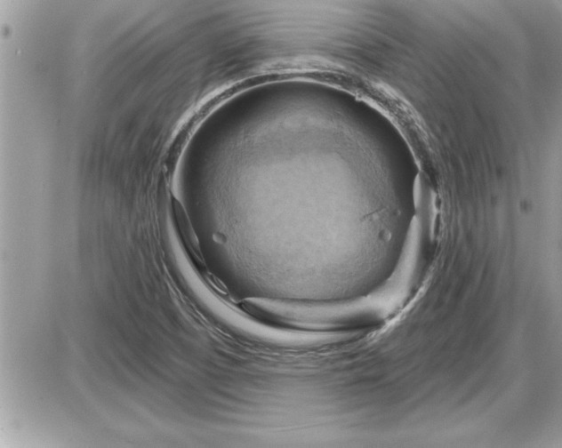 X0000087591457200705041457