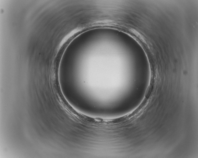 X0000087591458200705041457