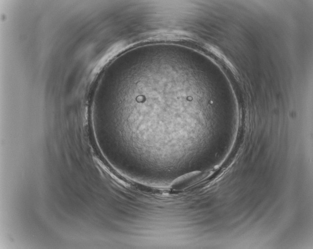 X0000087591459200705041457