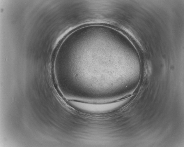 X0000087591460200705041457