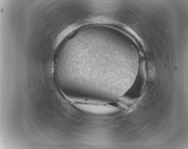 X0000087591461200705041457