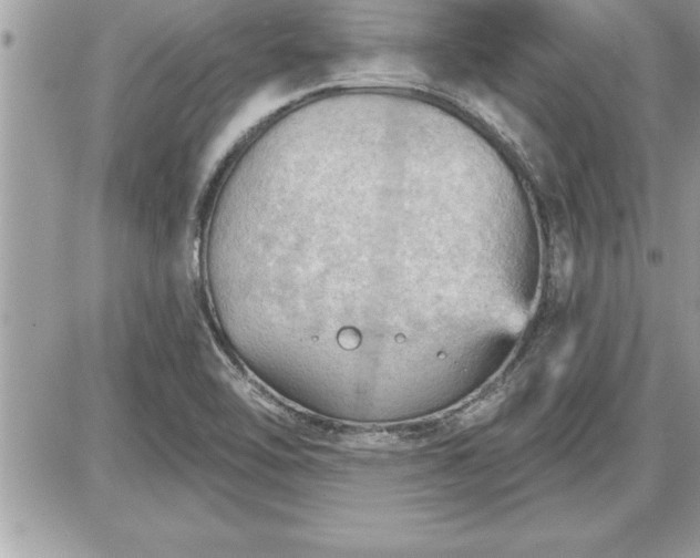 X0000087591462200705041457