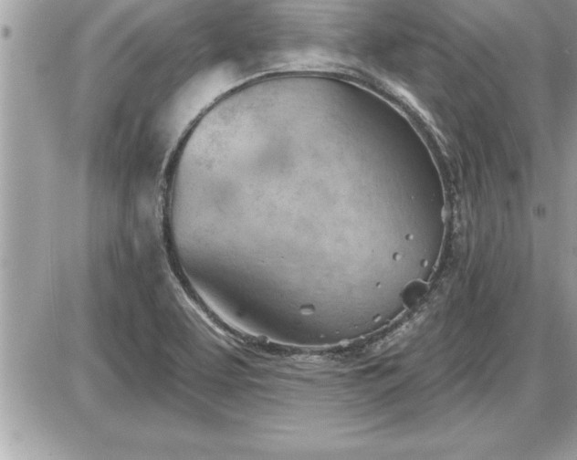 X0000087591463200705041457