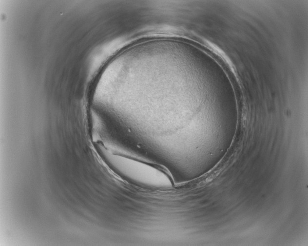 X0000087591464200705041457