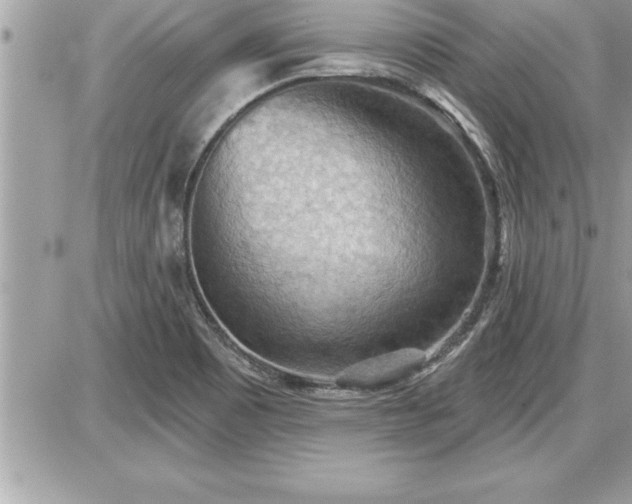 X0000087591465200705041457