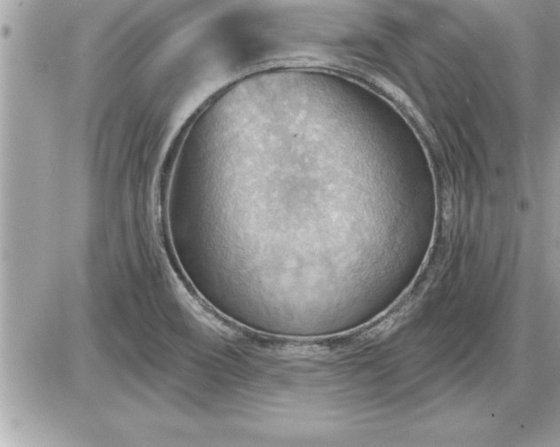 X0000087591466200705041457