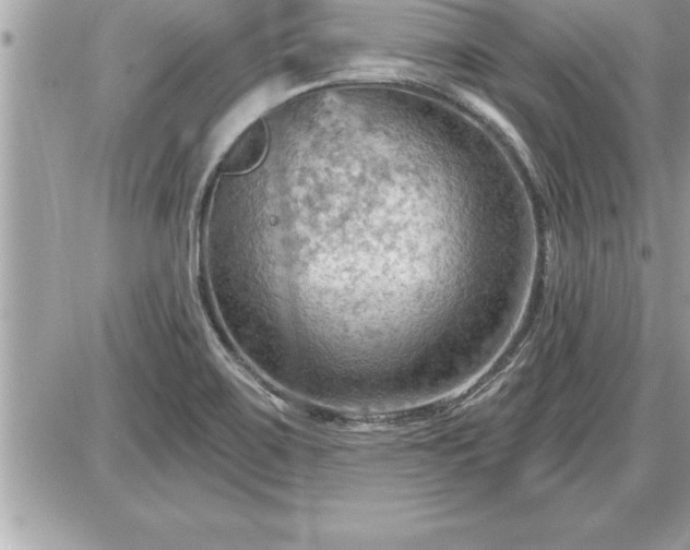 X0000087591467200705041457