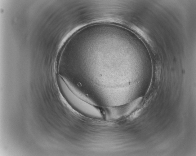 X0000087591468200705041457