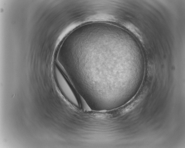 X0000087591469200705041456