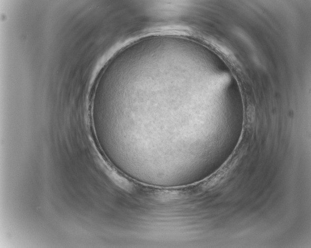 X0000087591470200705041456