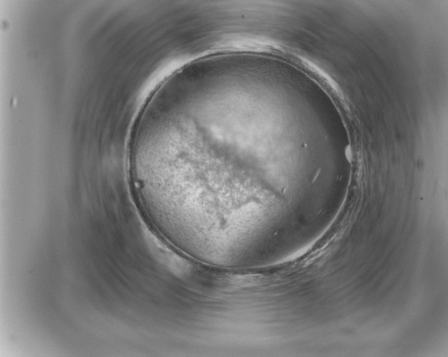 X0000087591471200705041456