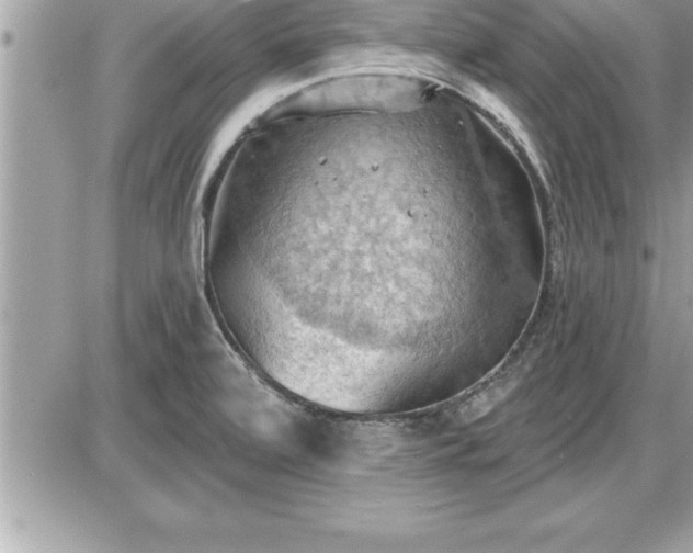 X0000087591472200705041456