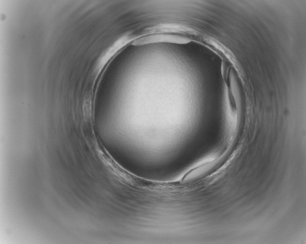 X0000087591473200705041456