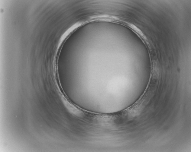 X0000087591474200705041456