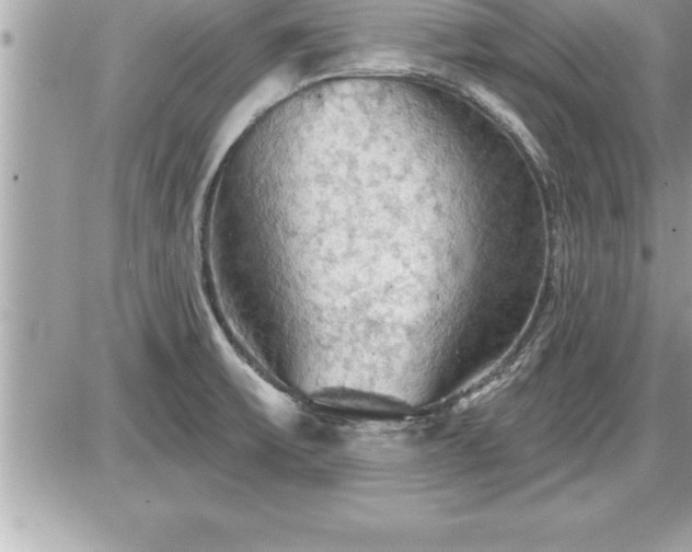 X0000087591475200705041456