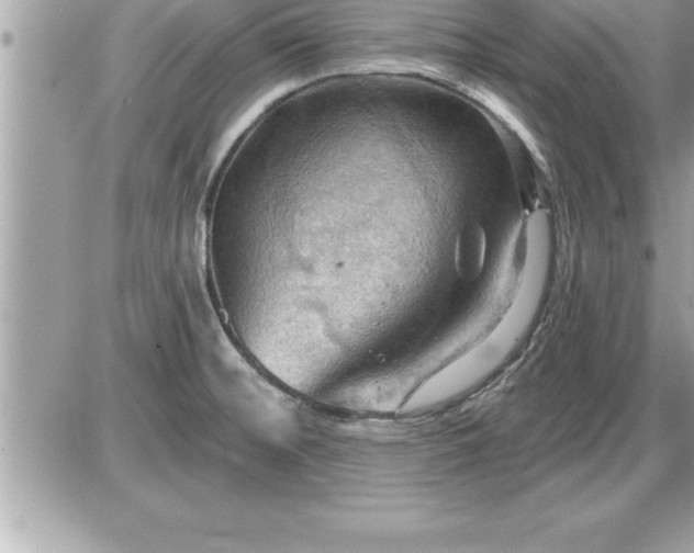 X0000087591476200705041456