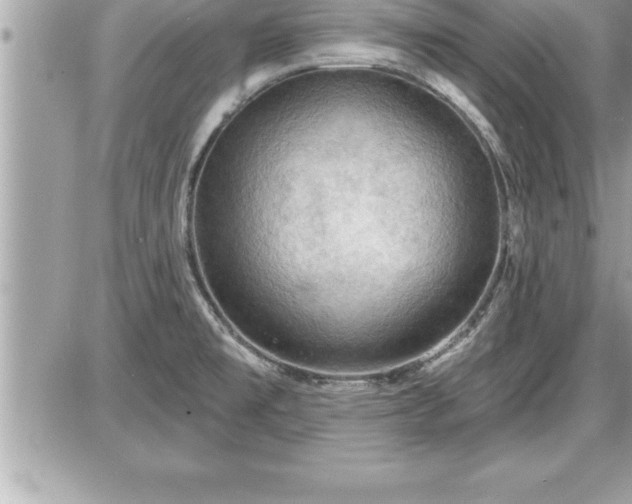 X0000087591477200705041456