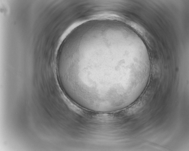 X0000087591478200705041456