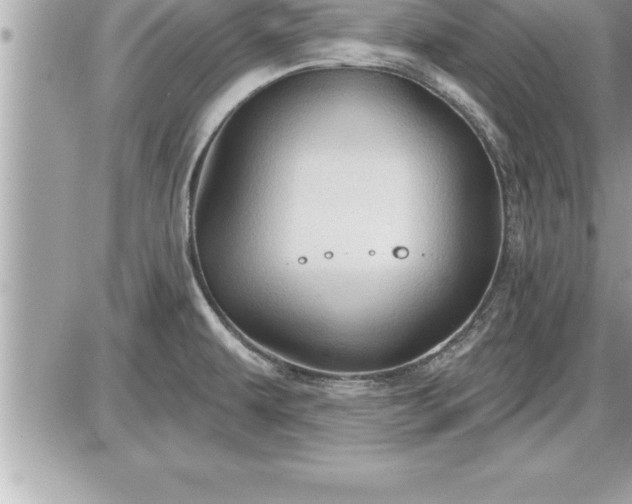 X0000087591479200705041456