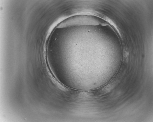 X0000087591480200705041456