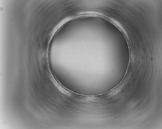 X0000087591482200705041456