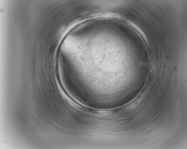 X0000087591483200705041456