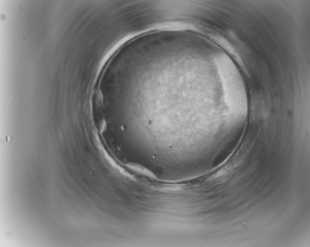 X0000087591484200705041456