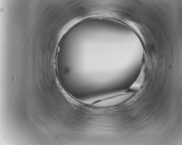 X0000087591485200705041456