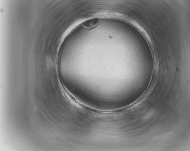 X0000087591486200705041456