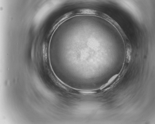 X0000087591487200705041456