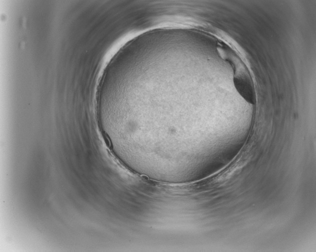 X0000087591488200705041456