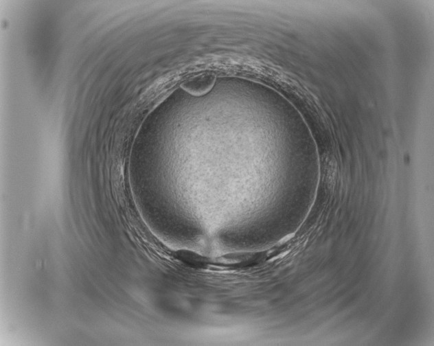 X0000087591489200705041455