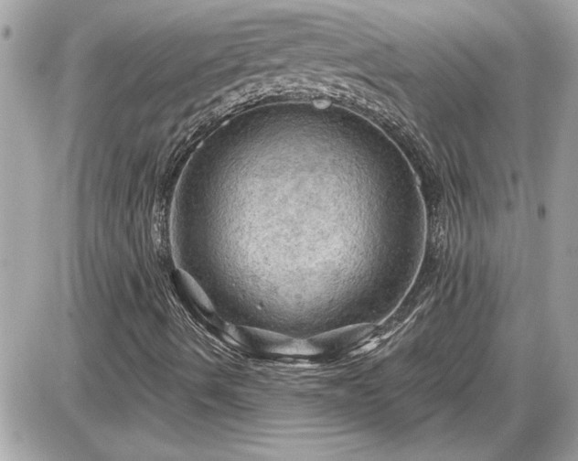 X0000087591490200705041455