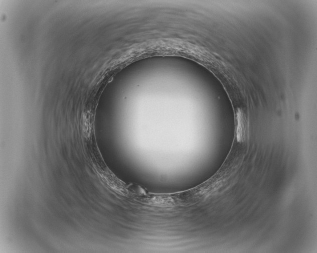 X0000087591491200705041455