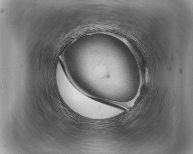 X0000087591492200705041455