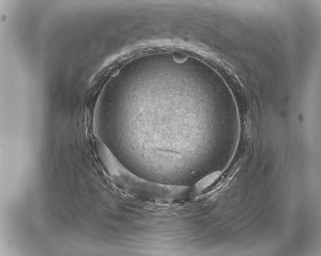 X0000087591494200705041455