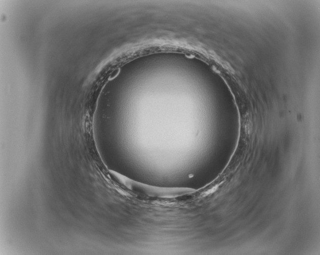 X0000087591495200705041455