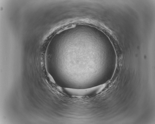 X0000087591496200705041456