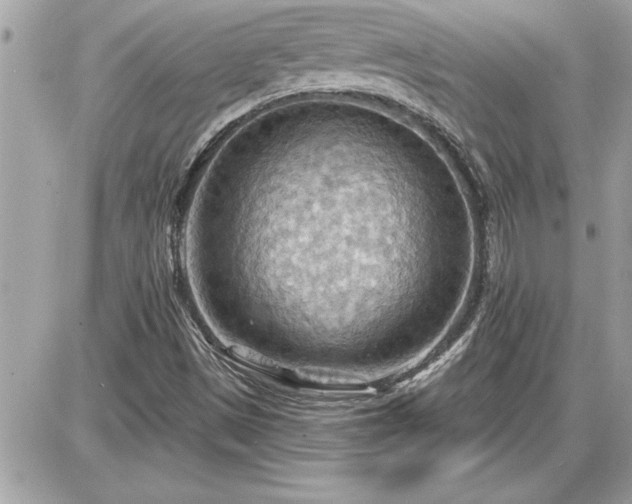 X0000087591497200705041456